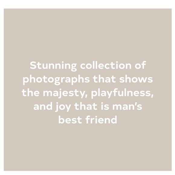 Perfect for all dog lovers! NEW! - Picture 2 of 8